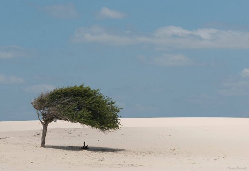 Минималистичные фотографии для настоящих ценителей (18 фото)