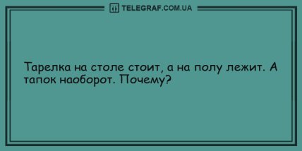 Озарите мир улыбкой в это утро: свежие шуточки (ФОТО)