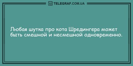 Устал на работе - отвлекись на анекдоте: шутки на день (ФОТО)