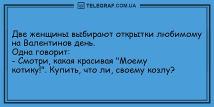 Этот прикол оценил даже слон: забавные анекдоты в этот вечер (ФОТО)