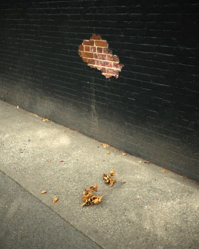 Забавные совпадения на нью-йоркских улицах через объектив Эрика Когана
