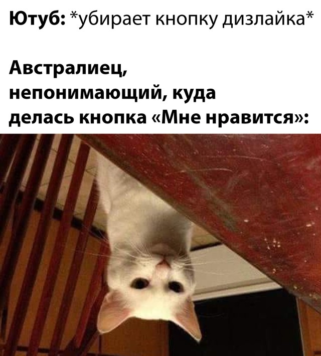 Пост юмора и позитива