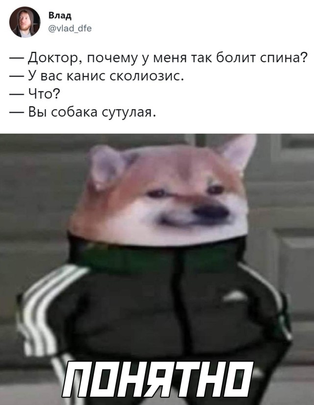 Пост юмора и позитива