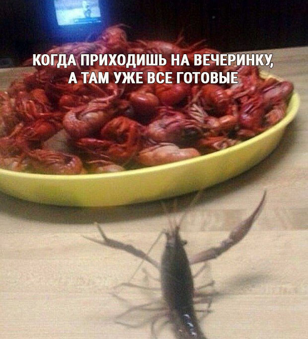 Пост юмора и позитива