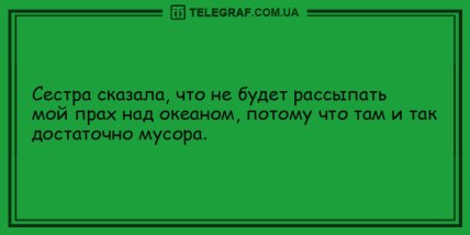 Этот прикол оценил даже слон: новая подборка утренних анекдотов (ФОТО)