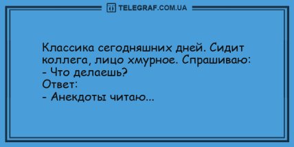 Этот прикол оценил даже слон: новая подборка утренних анекдотов (ФОТО)