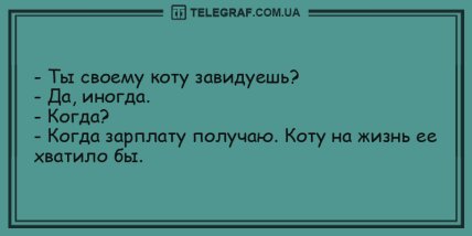 Свежо и смешно: подборка забавных анекдотов на утро (ФОТО)