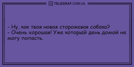 Свежо и смешно: подборка забавных анекдотов на утро (ФОТО)