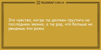 Удели минутку для шутки: юморные анекдоты на вечер (ФОТО)