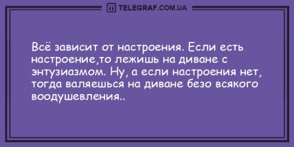 Улыбка на все сто: новая подборка уморительных анекдотов (ФОТО)