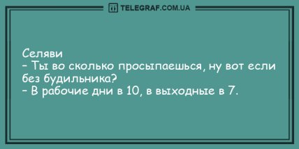 Улыбка на все сто: новая подборка уморительных анекдотов (ФОТО)