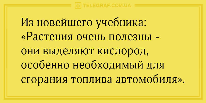 Начинаем субботний день с юмора: веселые анекдоты