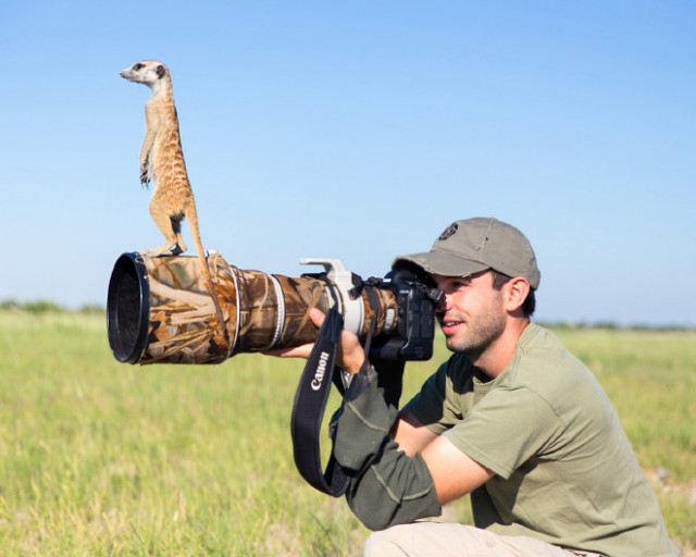 Животные, которые открыли в себе страсть к фотосъёмке