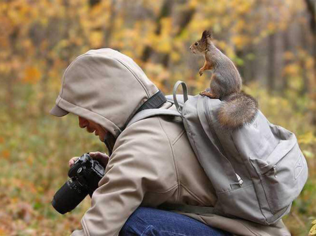 Животные, которые открыли в себе страсть к фотосъёмке