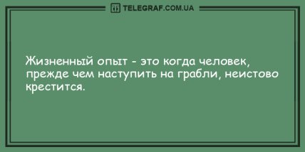 Встречайте утро с улыбкой: веселые анекдоты, которые подарят Вам заряд позитива (ФОТО)