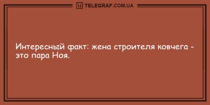 Антидот от грусти: уморительная порция утренних анекдотов (ФОТО)