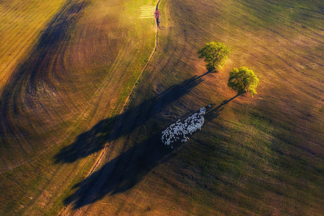 Потрясающие фотографии конкурса на лучший пейзажный снимок года (фото)