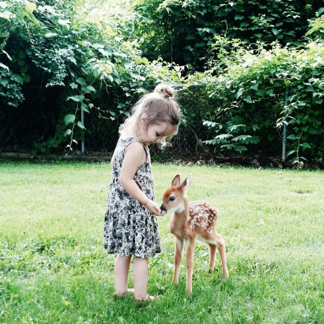 25 фотографий с малышами животного мира, которые вызовут приступ умиления
