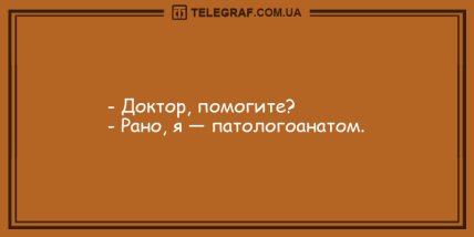 Ударная доза положительных эмоций на целый день: смешные анекдоты (ФОТО)