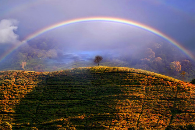 Зрелищные фотографии победителей конкурса Weather Photographer of the Year 