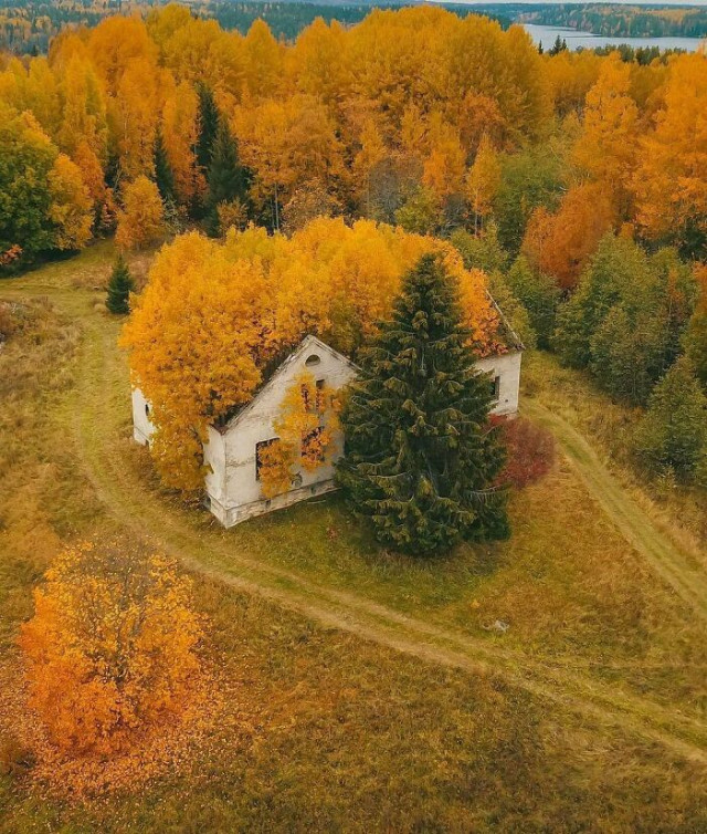 Атмосферные фотографии заброшенных мест 