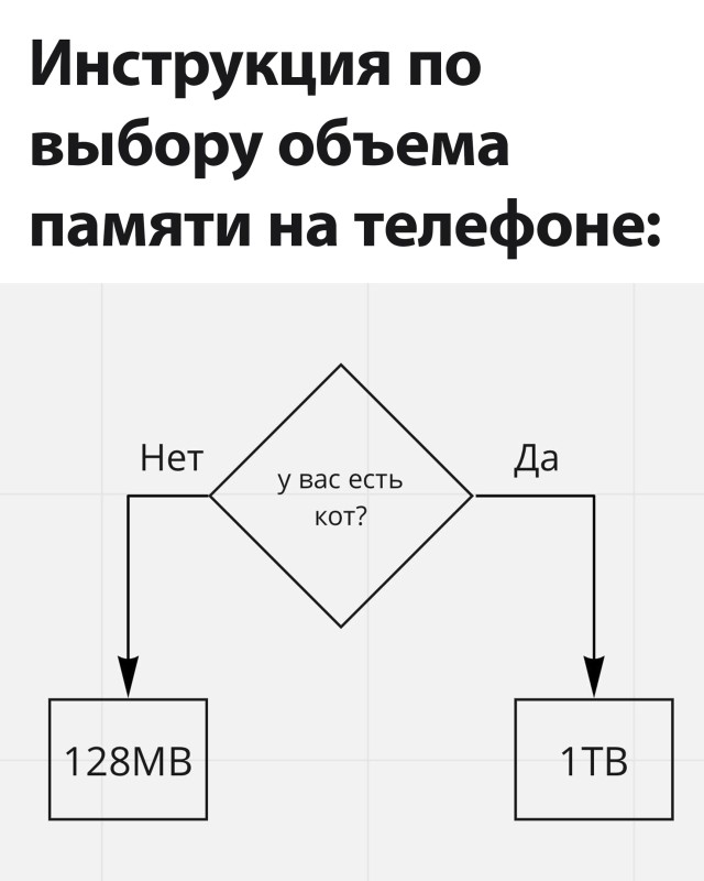 Прикольные картинки дня (фото)