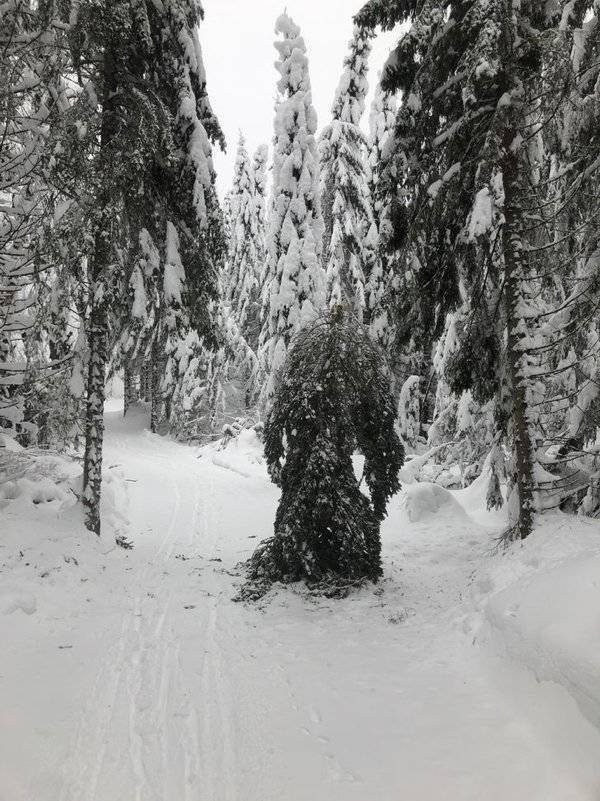 Подборка курьезных фотографий со всех уголков