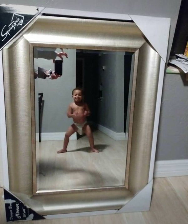 28 уморительных попыток сфотографировать зеркало на продажу (фото)