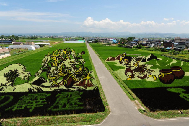 Японская деревня, где каждый год создают огромные картины на полях (фото)