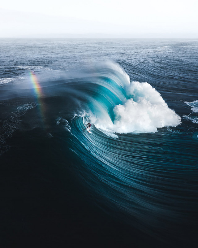 Самые впечатляющие работы финалистов конкурса на лучшую морскую фотографию Ocean Photography Awards 2021
