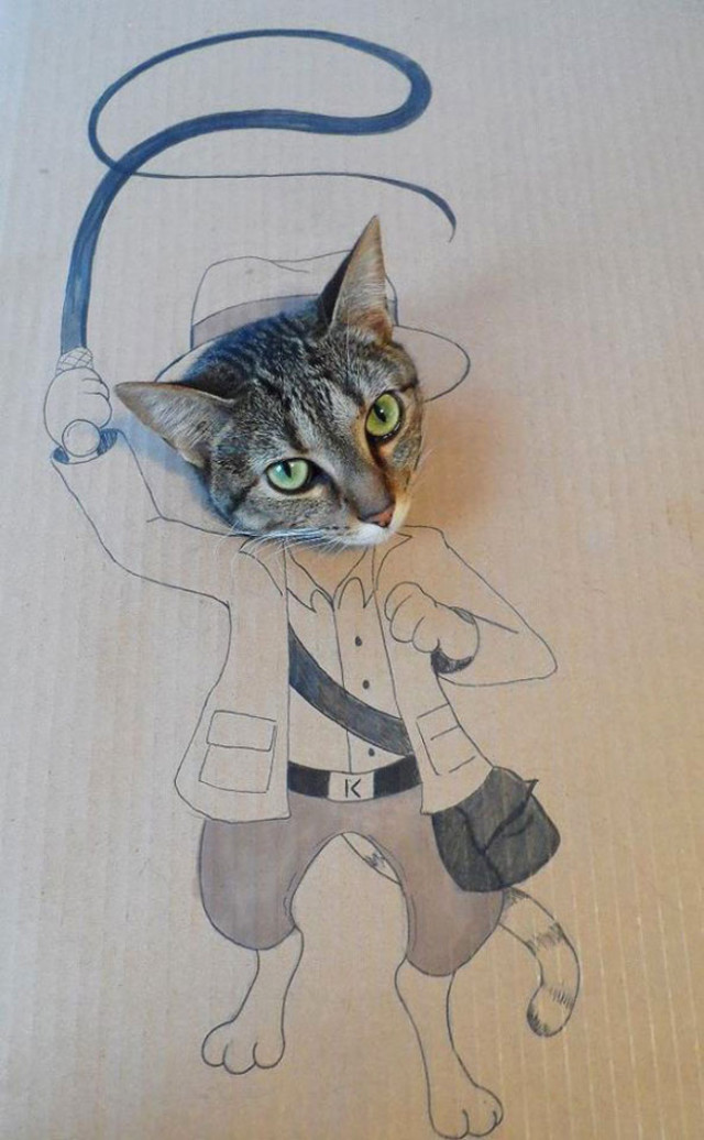 В сети показали,что происходит, когда у владельцев кошек есть картон и время (фото)