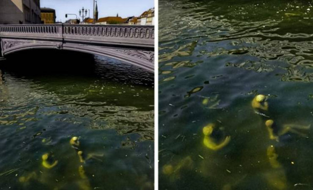 В каждой стране есть что-то особенное (фото)