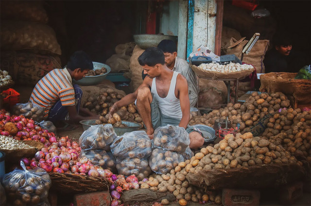 Фотографии-победители конкурса на лучшего фотографа картофеля