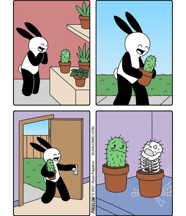 Новые комиксы про кролика Бани (фото)