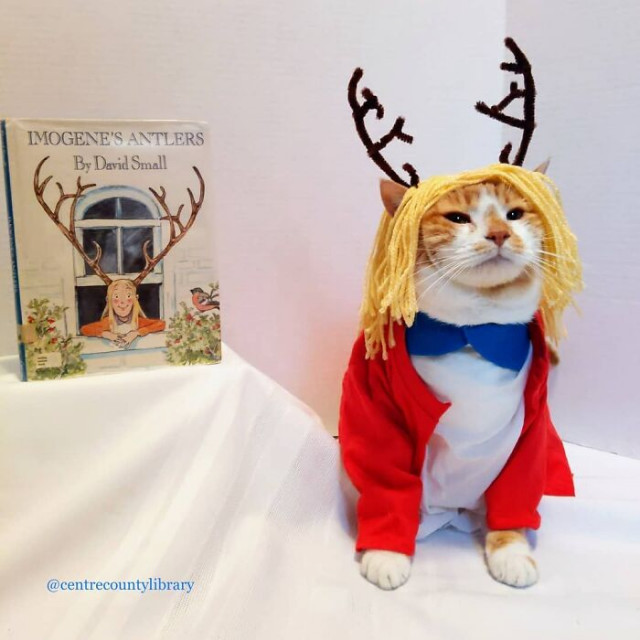 Публичная библиотека привлекает посетителей, наряжая кота в различных персонажей 