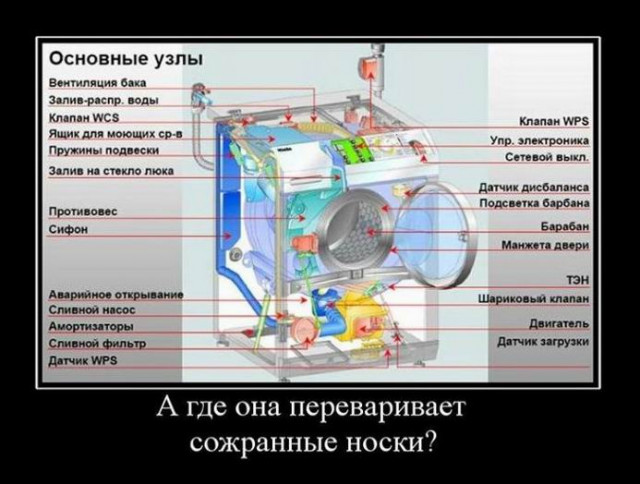 Свежая порция демотиваторов (фото)