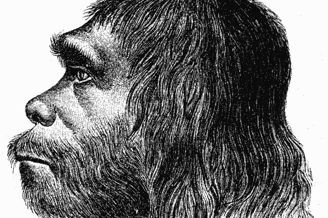 Интересные и странные факты про неандертальцев