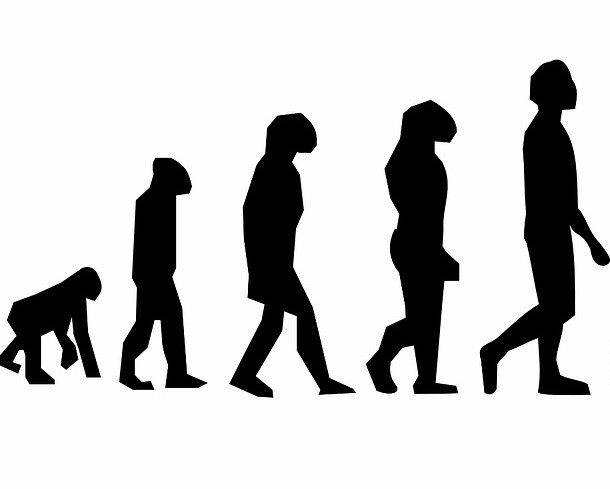Интересные и странные факты про неандертальцев