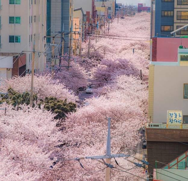 Интересные фотографии, знакомящие с повседневной жизнью в Южной Корее