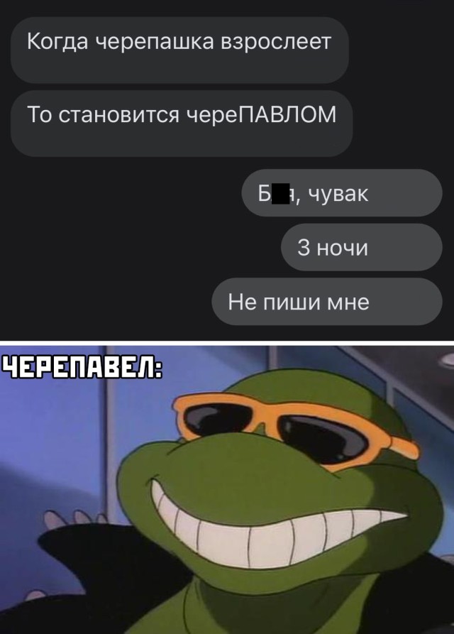 Прикольные картинки 