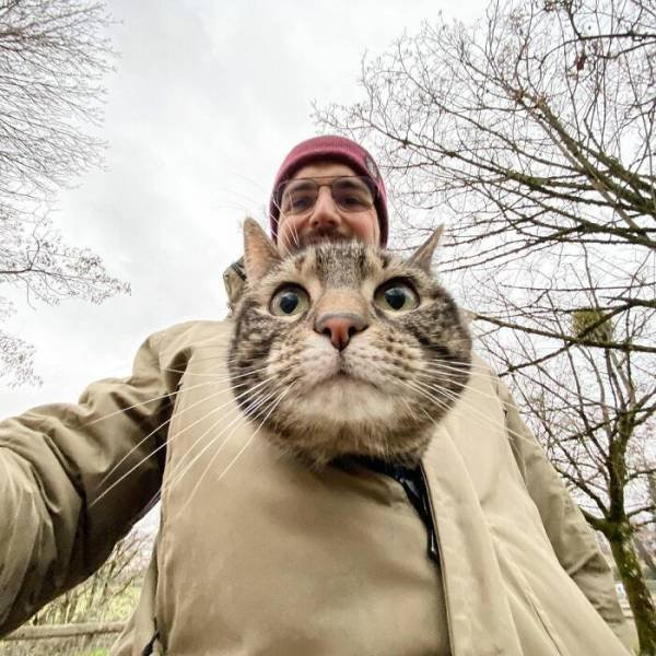 Кошка Катод, которая обожает путешествовать со своим хозяином (фото)