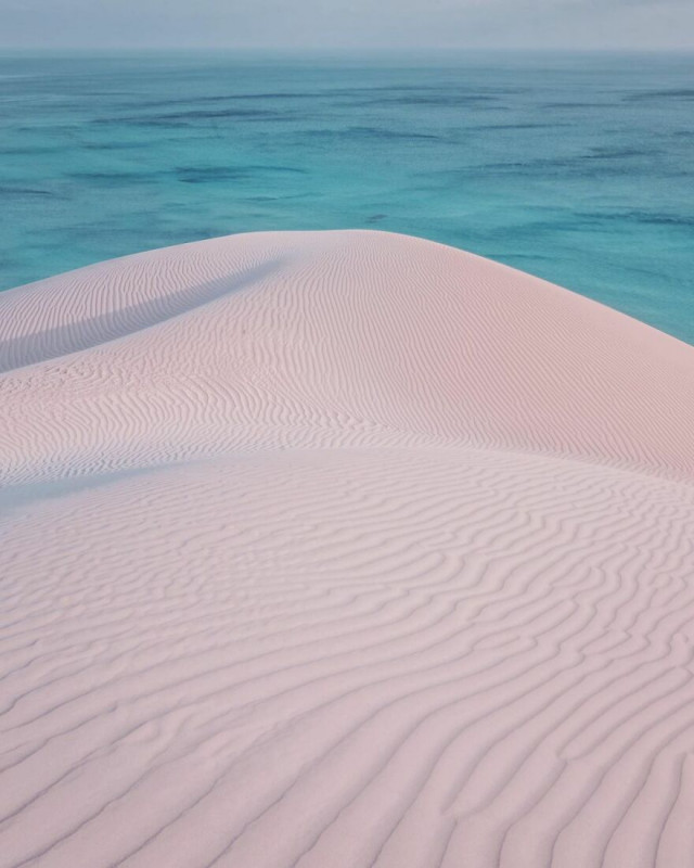 Красота острова Сокотра через объектив Кристины Макеевой