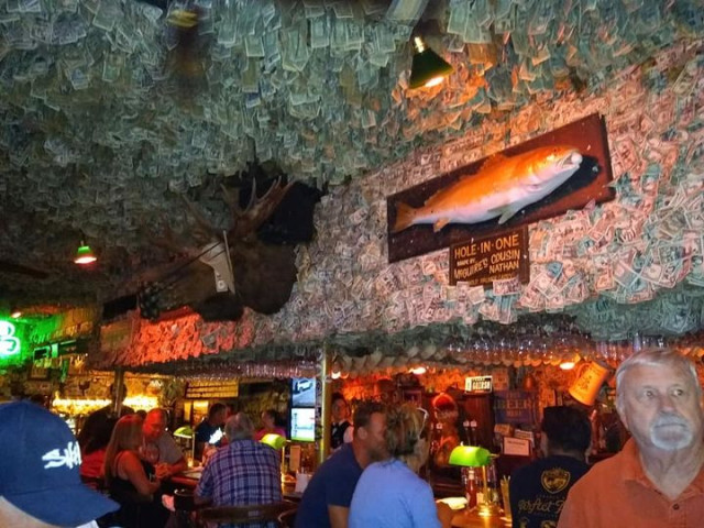 В сети показали флоридский паб, интерьер которого украшают купюры на сумму почти 2 миллиона долларов  