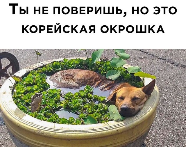 Прикольные картинки на выходные