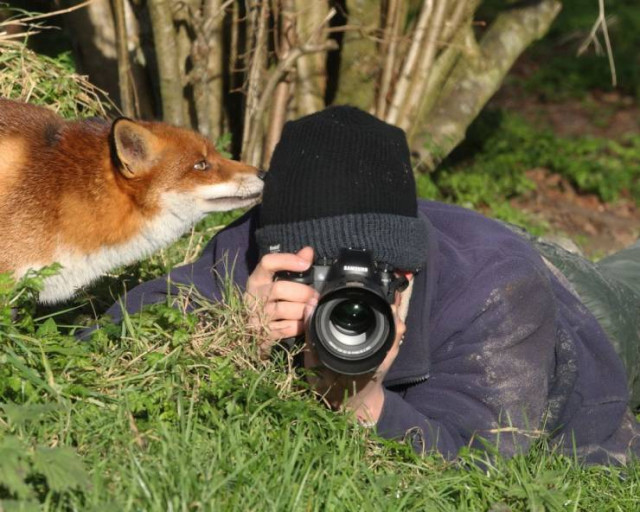 Эмоции и настроение в фотографиях