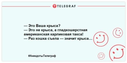 На грусть время не тратим, только на веселье: смешные шутки на день (ФОТО)