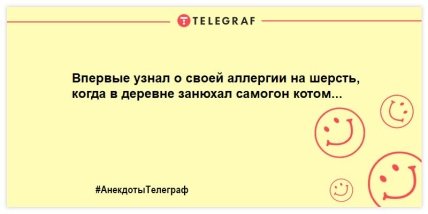 Собака любит просто так, а кот — из-за корма: уморительные шутки о кошках (ФОТО)