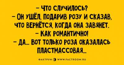 Витамины смеха: забавные анекдоты для любителей тонкого юмора