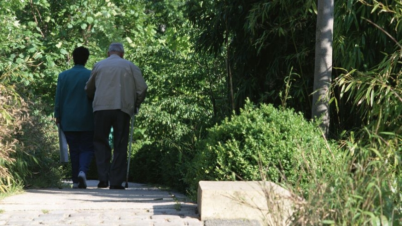 93-летний француз сбежал на свидание