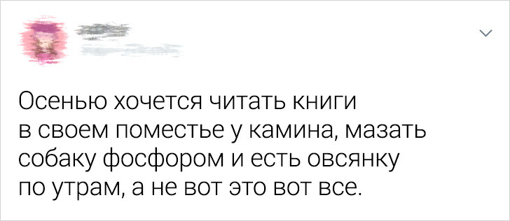 18 честных твитов о жизни, которые мог бы написать каждый из нас